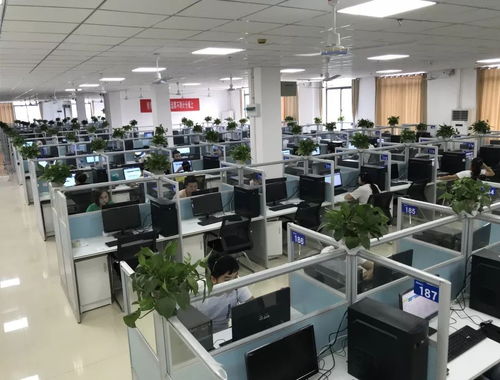 遵義軟件園 以服務(wù)外包為基礎(chǔ)，三位一體促進(jìn)第三產(chǎn)業(yè)發(fā)展